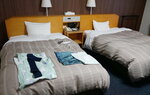 22032024_Sony A7 II_Journey to Tohoku_Iwate Hanamaki Onsen_Hotel Senshukaku00002