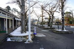 22032024_Sony A7 II_Journey to Tohoku_Iwate Hanamaki Onsen Morning00008