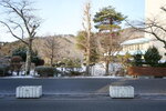 22032024_Sony A7 II_Journey to Tohoku_Iwate Hanamaki Onsen Morning00010