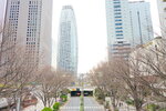 23032024_Sony A7 II_Journey to Tohoku_Shinjuku Morning00010