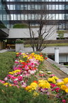 23032024_Sony A7 II_Journey to Tohoku_Shinjuku Morning00017