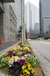 23032024_Sony A7 II_Journey to Tohoku_Shinjuku Morning00028