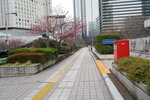 23032024_Sony A7 II_Journey to Tohoku_Shinjuku Morning_Sakura no Hana00001