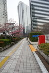 23032024_Sony A7 II_Journey to Tohoku_Shinjuku Morning_Sakura no Hana00002