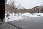 21032024_Sony A7 II_Journey to Tohoku_Oirase keiryu Hotel Morning00010