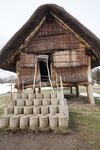 21032024_Sony A7 II_Journey to Tohoku_Aomori Sannaimaruyama Iseki00074