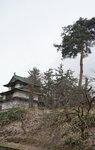 21032024_Sony A7 II_Journey to Tohoku_Hirosakijo00004