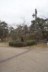21032024_Sony A7 II_Journey to Tohoku_Hirosakijo00015