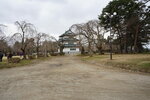 21032024_Sony A7 II_Journey to Tohoku_Hirosakijo00020