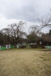 21032024_Sony A7 II_Journey to Tohoku_Hirosakijo00027