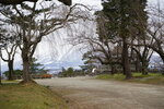 21032024_Sony A7 II_Journey to Tohoku_Hirosakijo00038