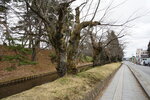 21032024_Sony A7 II_Journey to Tohoku_Way to Hirosakijo00009