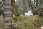 21032024_Sony A7 II_Journey to Tohoku_Way to Hirosakijo00014