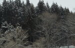 21032024_Sony A7 II_Journey to Tohoku_way to Aomori Sannaimaruyama Iseki00006