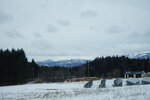 21032024_Sony A7 II_Journey to Tohoku_way to Aomori Sannaimaruyama Iseki00034