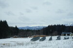 21032024_Sony A7 II_Journey to Tohoku_way to Aomori Sannaimaruyama Iseki00035