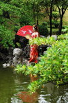 21062015_Lingnan Garden_Stargaze Ma00077