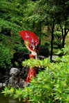 21062015_Lingnan Garden_Stargaze Ma00080