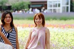 美人兒
2004JulyHokkaido