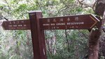 06052016_Road to Tai Tam Reservoir00002