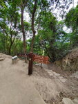 19122021_Samsung Smartphone Galaxy S10 Plus_Tai Tong00001