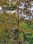 19122021_Samsung Smartphone Galaxy S10 Plus_Tai Tong00003