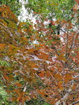19122021_Samsung Smartphone Galaxy S10 Plus_Tai Tong00009