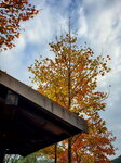 19122021_Samsung Smartphone Galaxy S10 Plus_Tai Tong00021