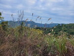 19122021_Samsung Smartphone Galaxy S10 Plus_Tai Tong00043