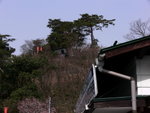 6-10 April 2006_京阪神之旅_天橋立00008