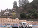 6-10 April 2006_京阪神之旅_天橋立00021
