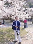 6-10 April 2006_京阪神之旅_人在旅途00002