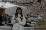 6-10 April 2006_京阪神之旅_Elizabeth Chung00011