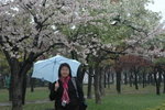 6-10 April 2006_京阪神之旅_Michelle So00007