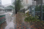 23082017_Super Typhoon Hato_Signal Number Ten_View of Wong Tai Sin00010