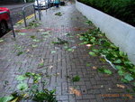 24072012_Day after Typhoon Vicente Signal Number 1000001