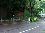 24072012_Day after Typhoon Vicente Signal Number 1000002
