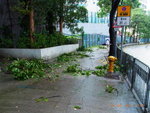 24072012_Day after Typhoon Vicente Signal Number 1000005