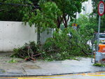 24072012_Day after Typhoon Vicente Signal Number 1000012