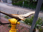 24072012_Day after Typhoon Vicente Signal Number 1000019
