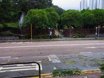 24072012_Day after Typhoon Vicente Signal Number 1000021
