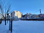 10022025_Samsung Galaxy Note20 Ultra_29th round to Hokkaido_Sapporo Morning00008