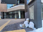 10022025_Samsung Galaxy Note20 Ultra_29th round to Hokkaido_Sapporo Morning00034