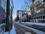 10022025_Samsung Galaxy Note20 Ultra_29th round to Hokkaido_Sapporo Morning_Tanuki Koji00043