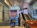10022025_Samsung Galaxy Note20 Ultra_29th round to Hokkaido_Sapporo Morning_Tanuki Koji00045