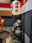 10022025_Samsung Galaxy Note20 Ultra_29th round to Hokkaido_Sapporo Morning_Tanuki Koji00060