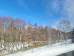 10022025_Samsung Galaxy Note20 Ultra_29th round to Hokkaido_Tokachi Shirakaba Namiki00001