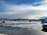 10022025_Samsung Galaxy Note20 Ultra_29th round to Hokkaido_Tokachi Shirakaba Namiki00004