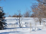 10022025_Samsung Galaxy Note20 Ultra_29th round to Hokkaido_Tokachi Shirakaba Namiki00007