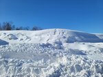 10022025_Samsung Galaxy Note20 Ultra_29th round to Hokkaido_Tokachi Shirakaba Namiki00009